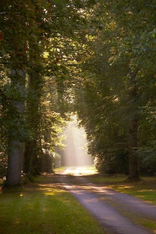 Rockbeare Manor - Country House Guest House Exeter